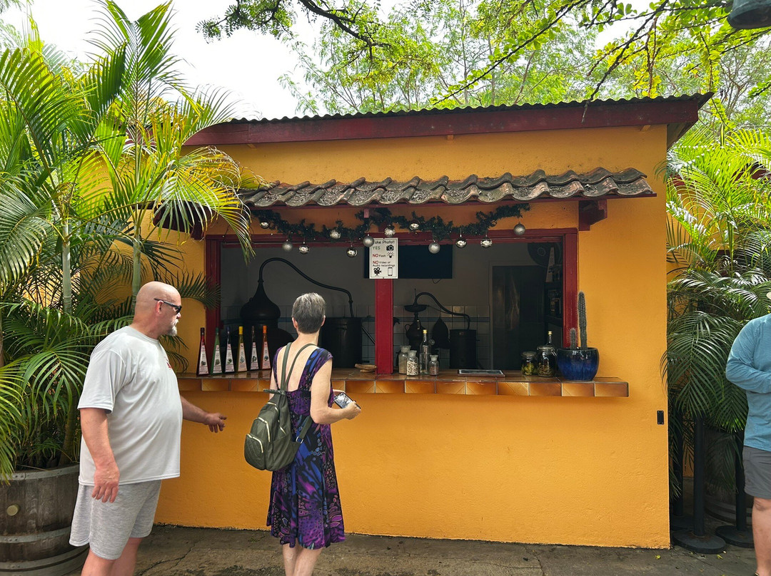 The Cadushy Distillery-Rincon必去景点