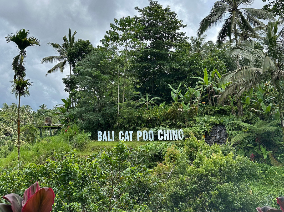 Bali Culture Tours-吉安雅必去景点