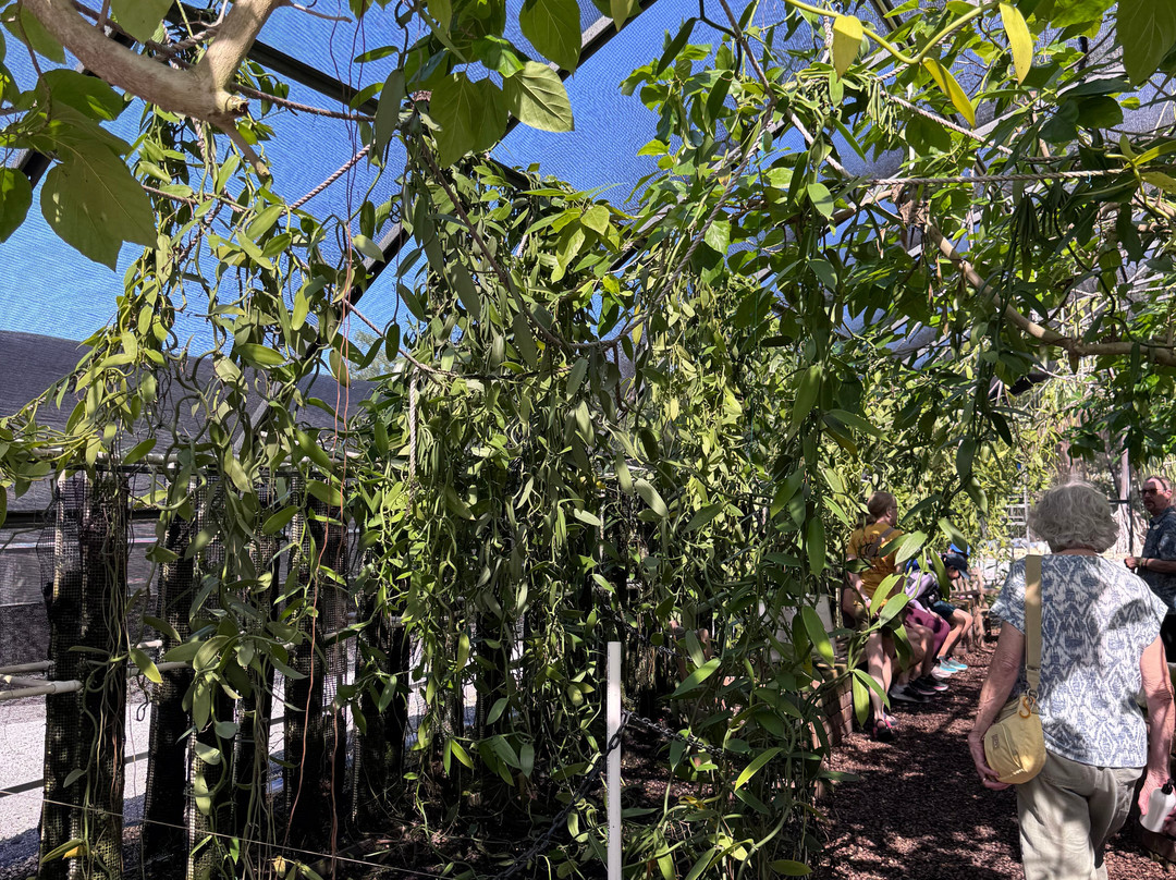 The Vanillerie-凯鲁瓦-柯纳必去景点