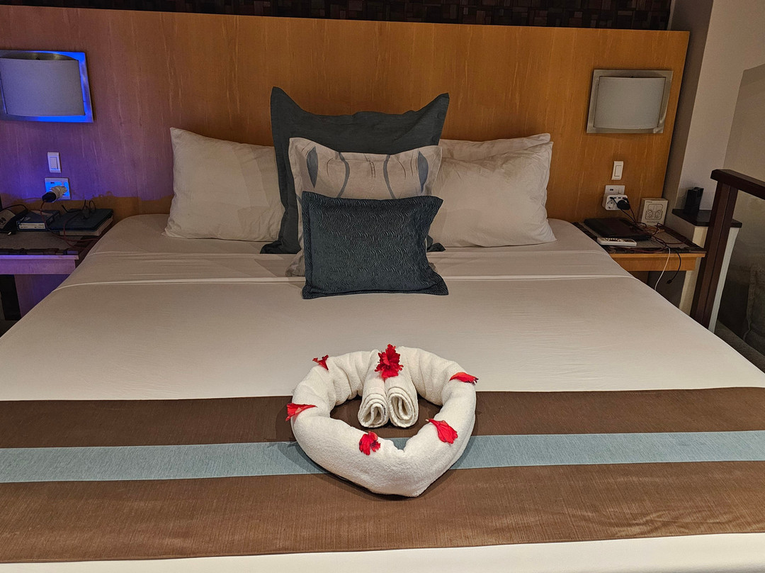 可可海酒店和黑鹦鹉套房酒店主图