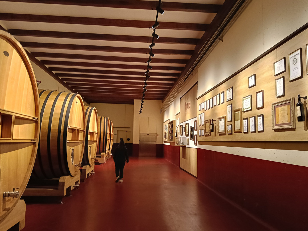Bodegas Protos-Penafiel必去景点