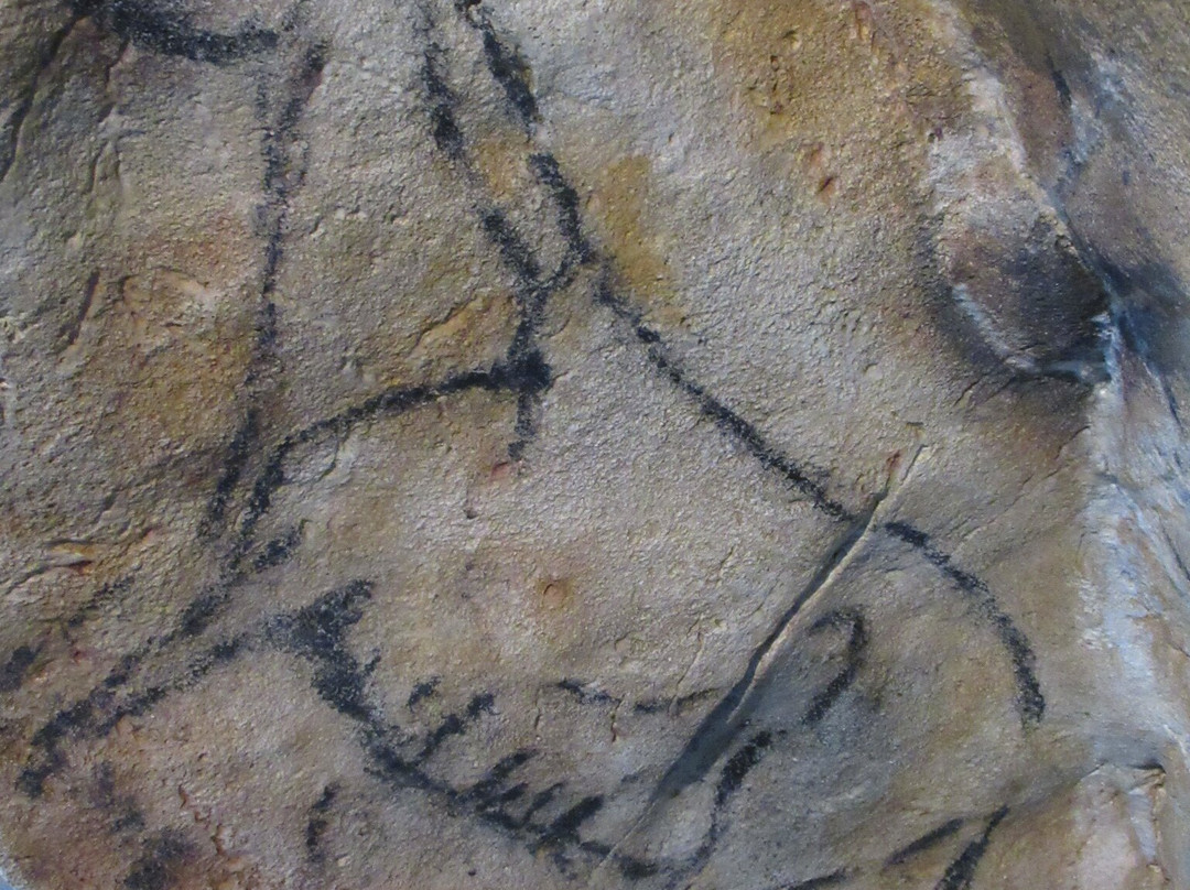 Museo de Altamira-海边的散提亚拿必去景点