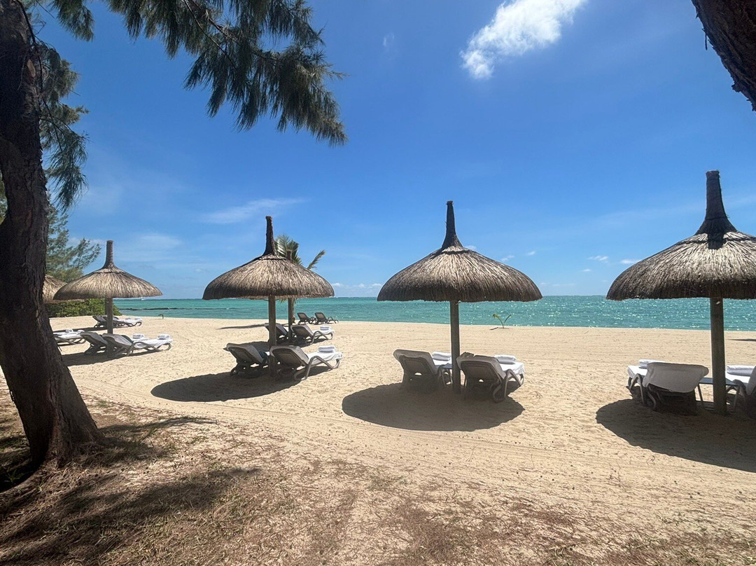 Paradisio Excursions Ile Maurice-大湾必去景点