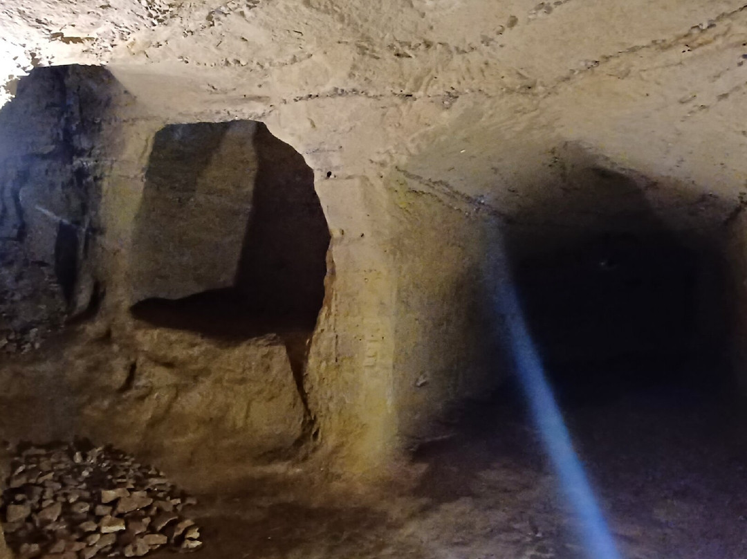 Museo Contrada Priora della Civetta-锡耶纳必去景点