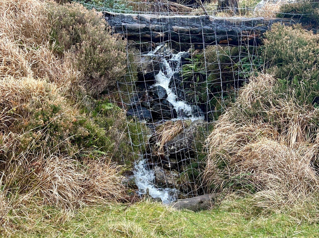 高登巴拉公园-Gougane Barra必去景点