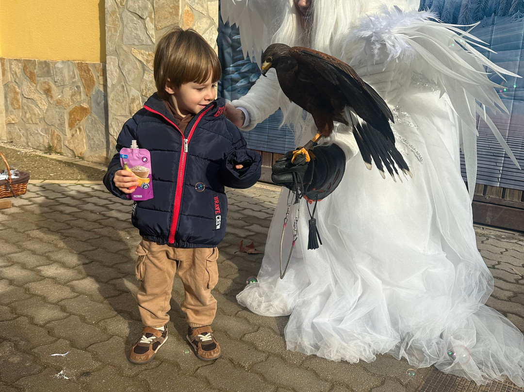 Tierra Rapaz-Calahorra必去景点