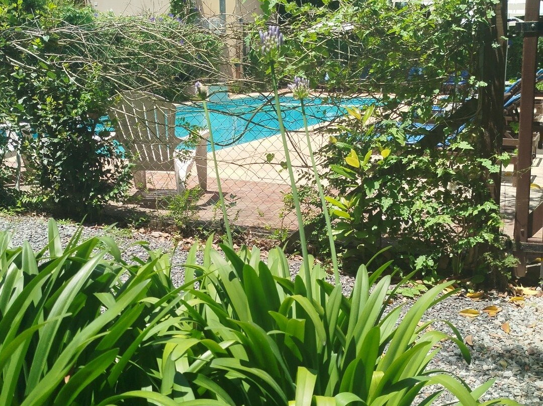 Ruca Lemu  Apart - Cabanas主图