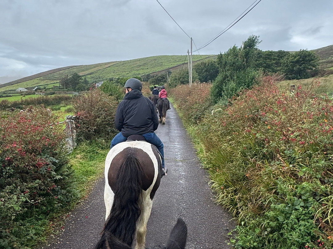 Vagabond Tours-都柏林必去景点