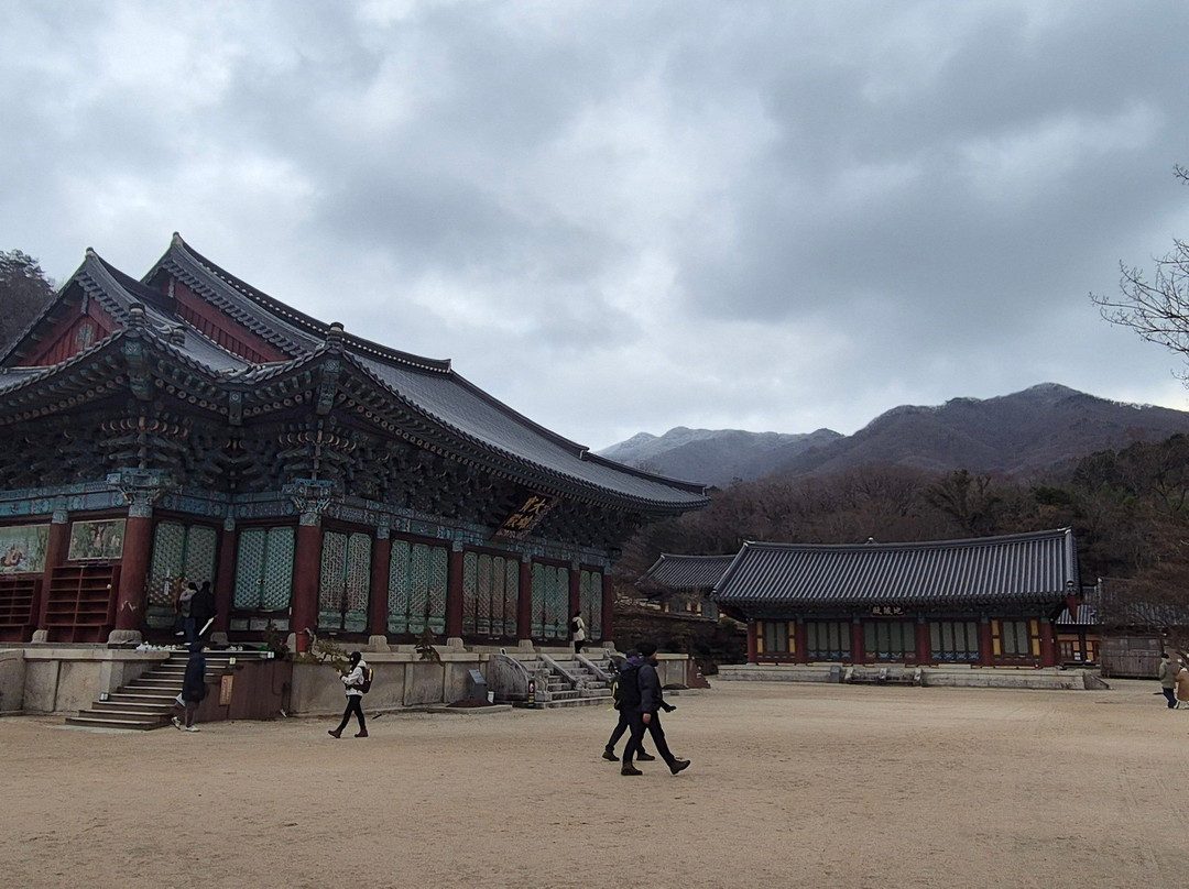 Songgwangsa Temple-顺天市必去景点