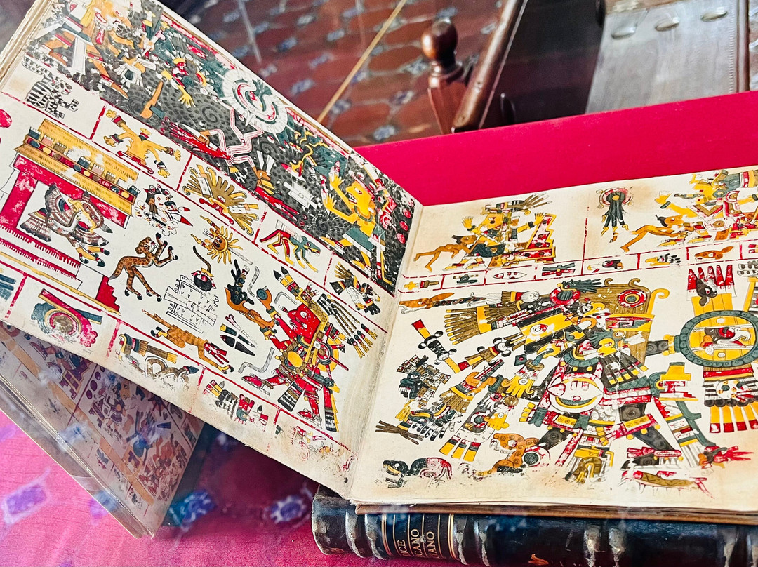 Biblioteca Palafoxiana-普埃布拉必去景点