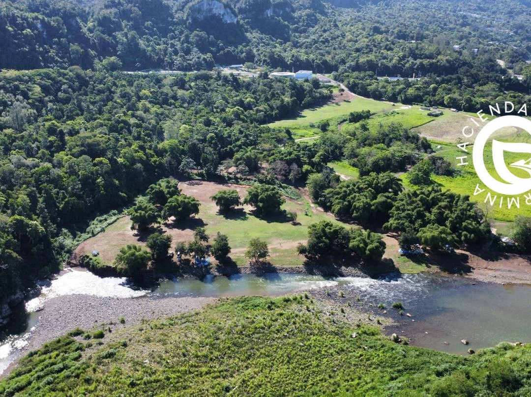 Hacienda Guillermina