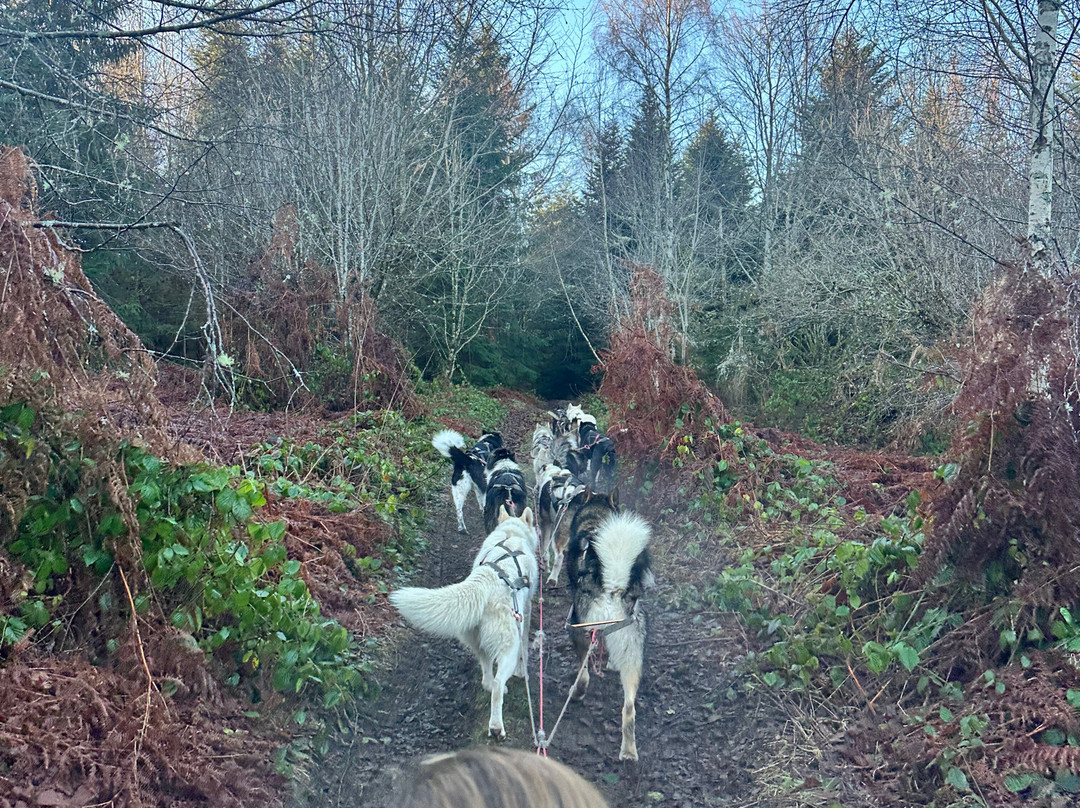 Njalla Mushing-Rupt-sur-Moselle必去景点