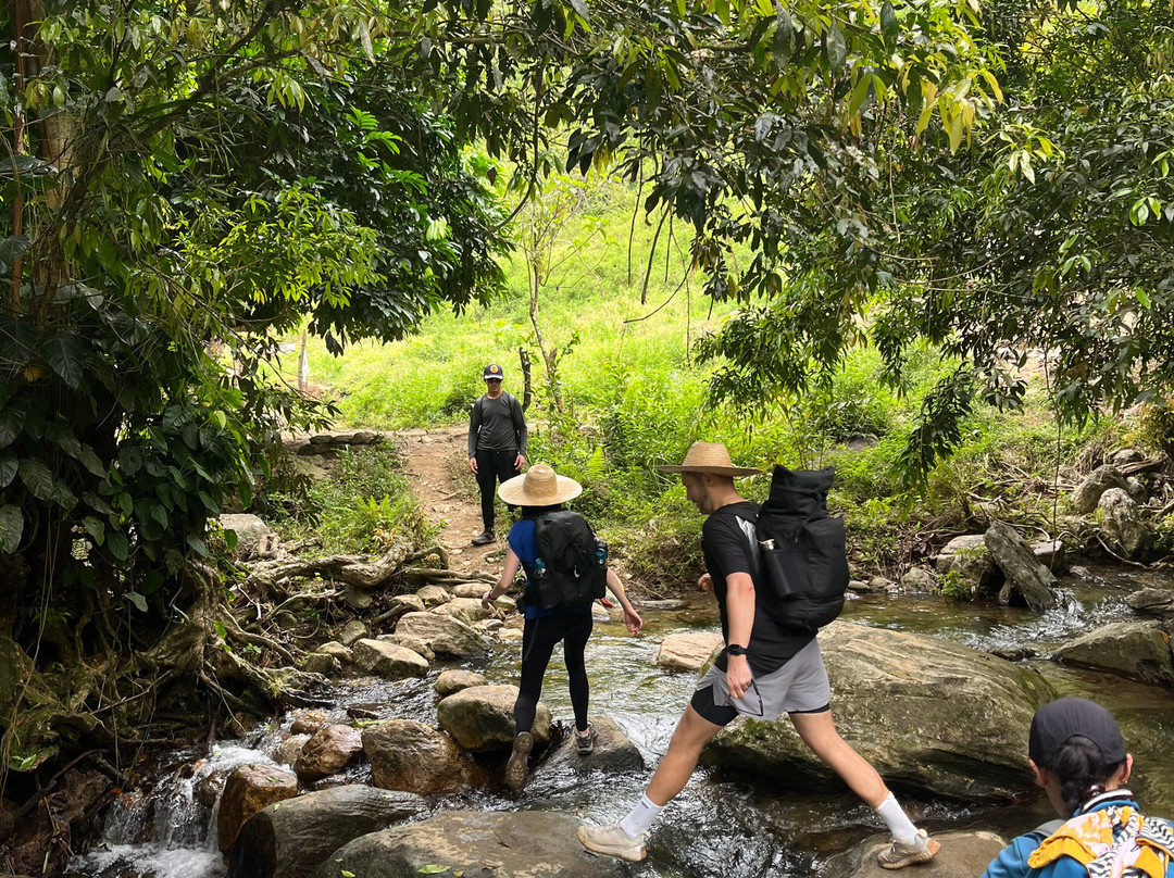 Teyuna Tours-圣玛尔塔必去景点