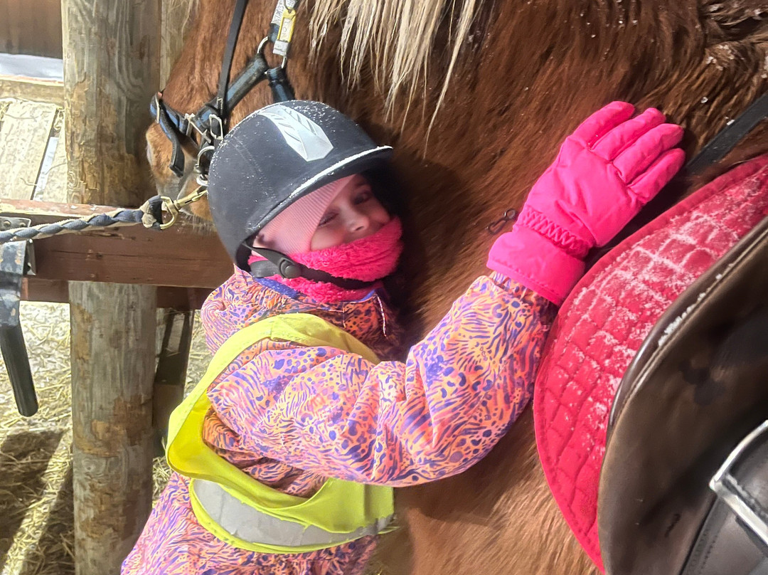 Lapin Saaga Icelandic Horse Stable in Levi-Sirkka必去景点