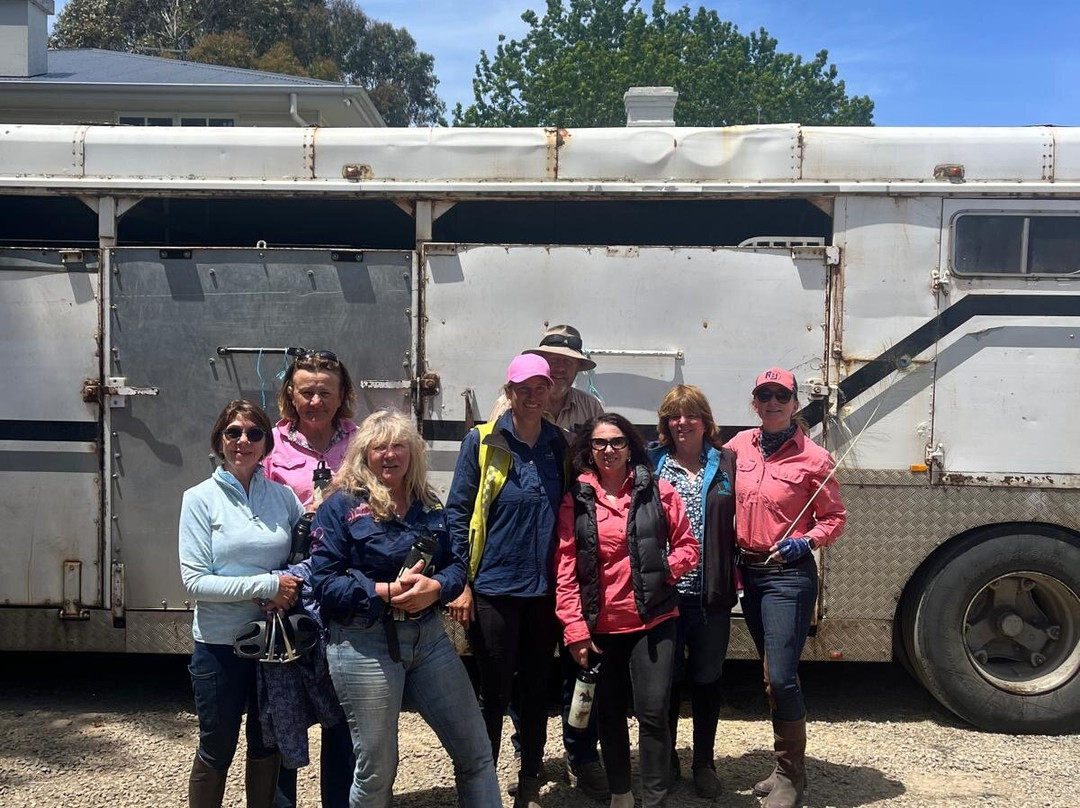 Cradle Country Adventures-摇篮山圣克莱尔湖国家公园必去景点