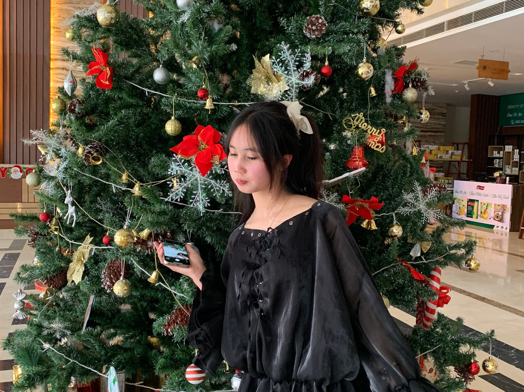 Muong Thanh Luxury Son La Hotel主图