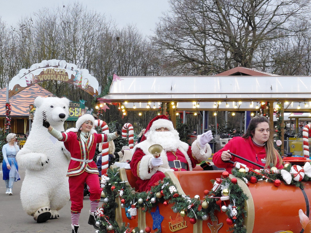Old MacDonald's Farm-布伦特伍德必去景点