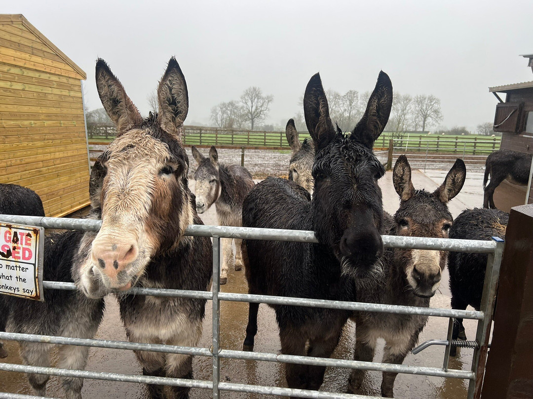 Barnhill Donkeys Retreat Sleagill