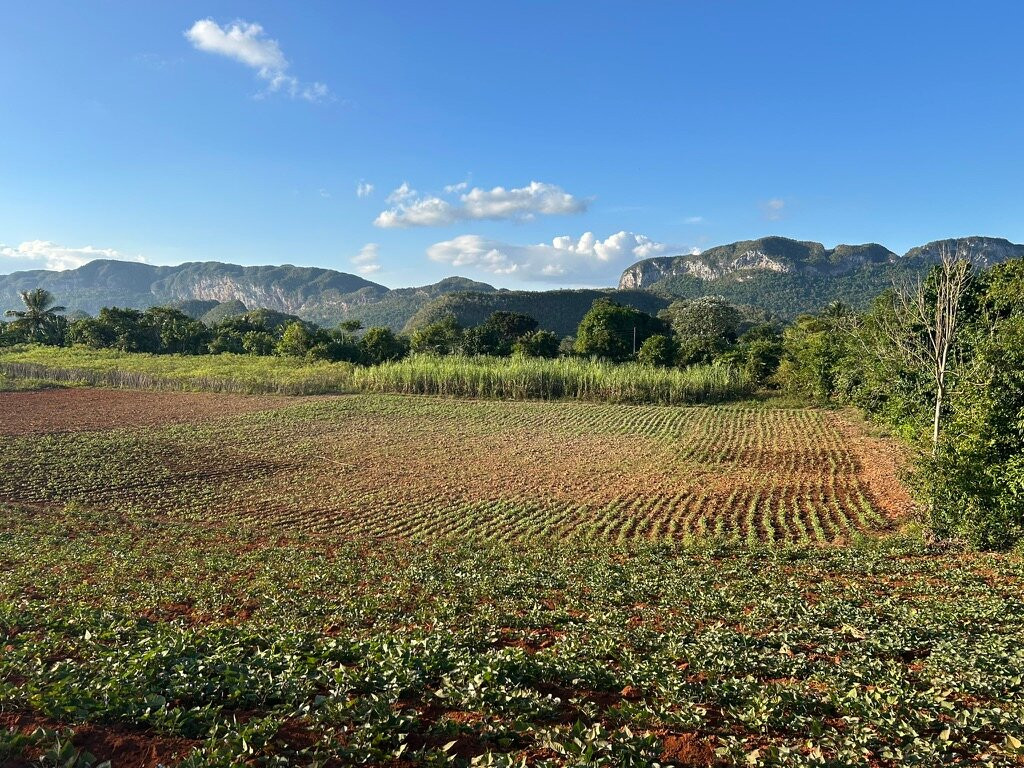 Cuba Travel Adventures Group-Tiburon必去景点