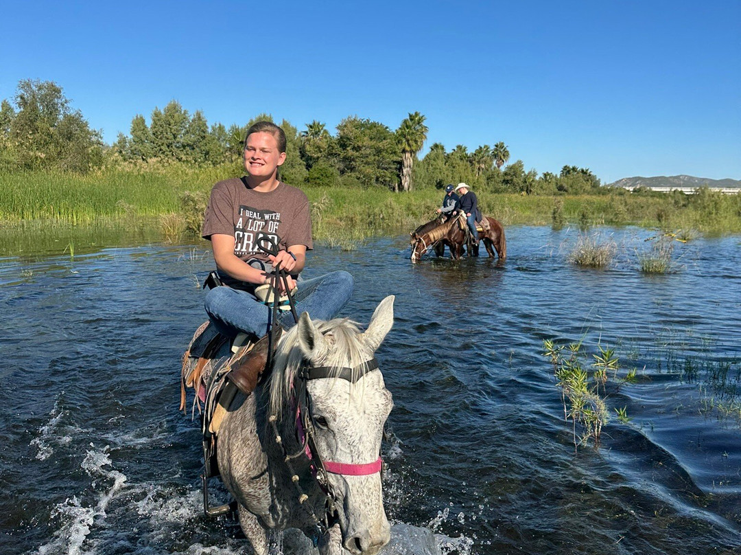 Rancho Animas-Animas Bajas必去景点