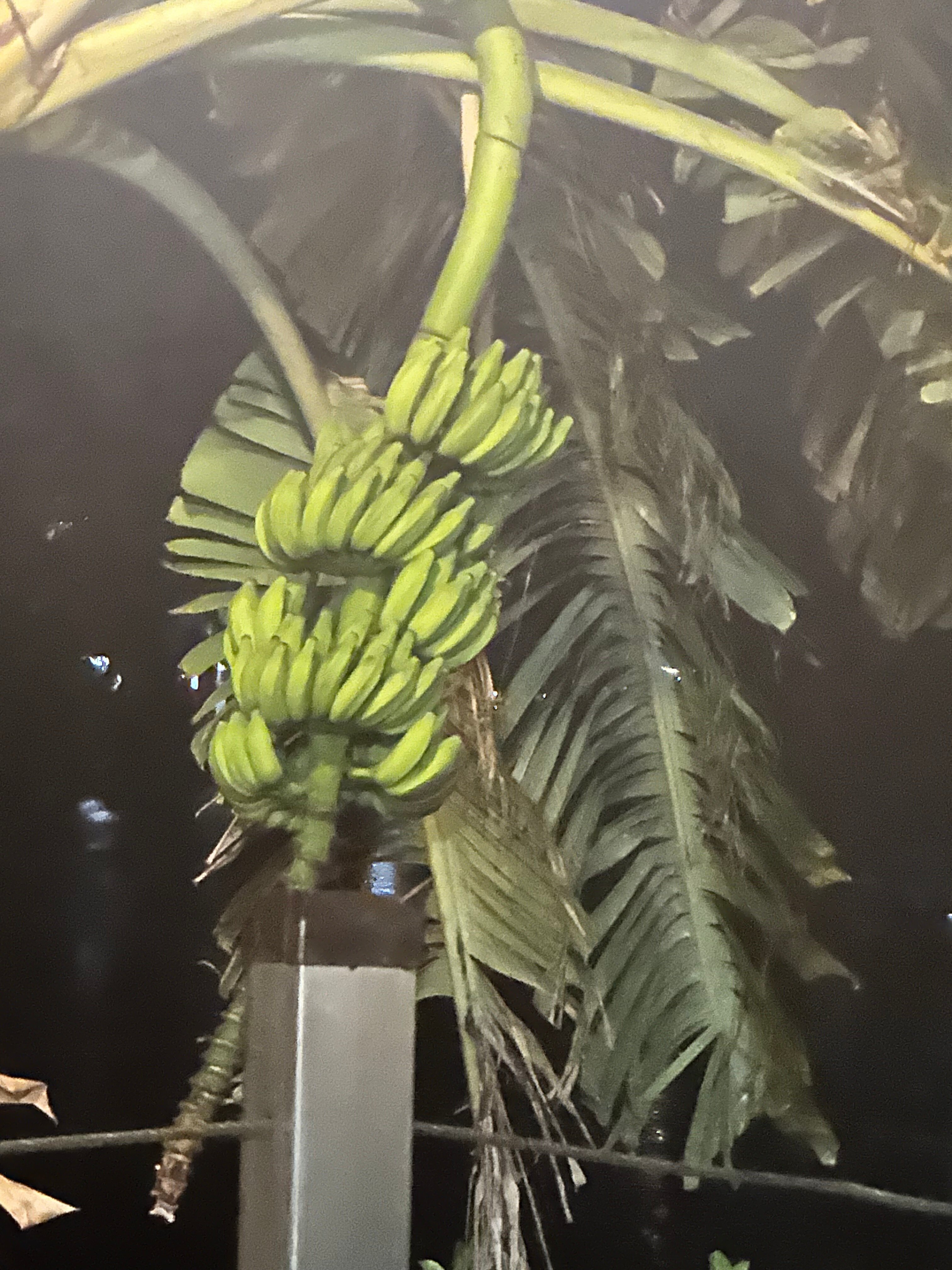 斯里兰卡森塔拉赛桑兹度假酒店及水疗中心-官方