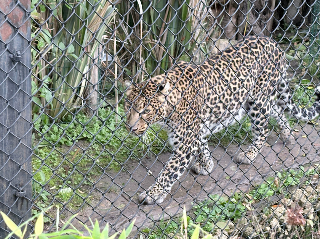 Rendez-vous en Terre Animale-Sury-aux-Bois必去景点