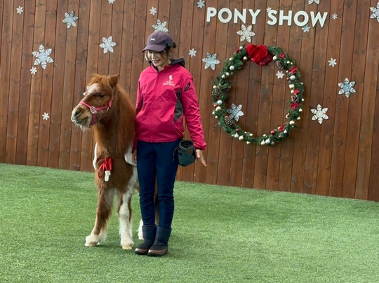 北国马场主题公园-苫小牧市必去景点