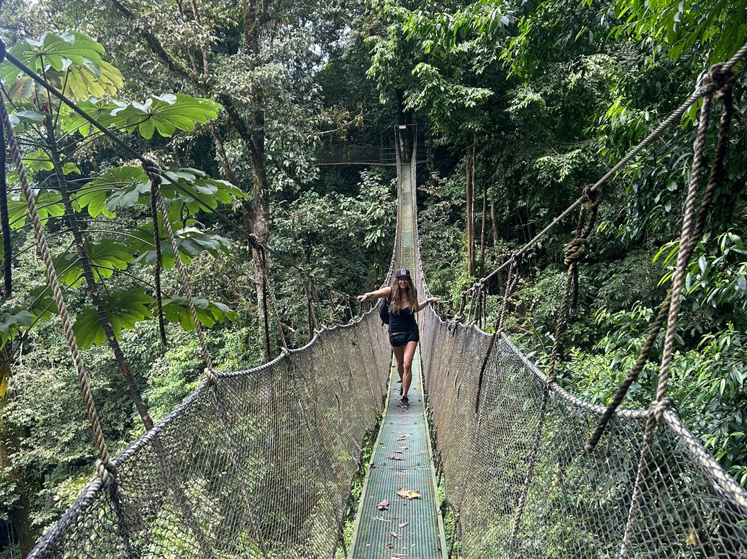 Rainmaker Park-帕利塔必去景点