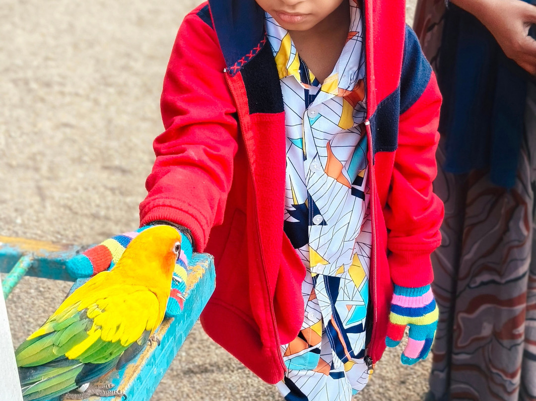 Cloud Forest Entertainment Park-Yelagiri必去景点