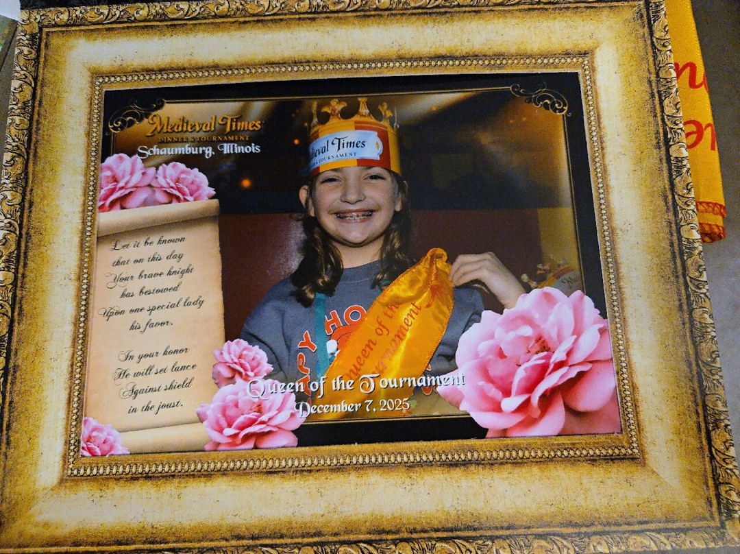 Medieval Times-绍姆堡必去景点