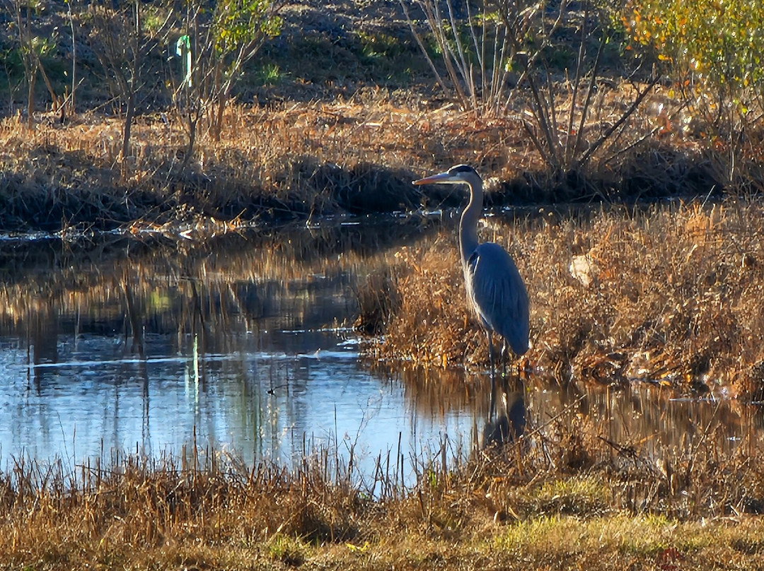 Long Point Park-Grasonville必去景点