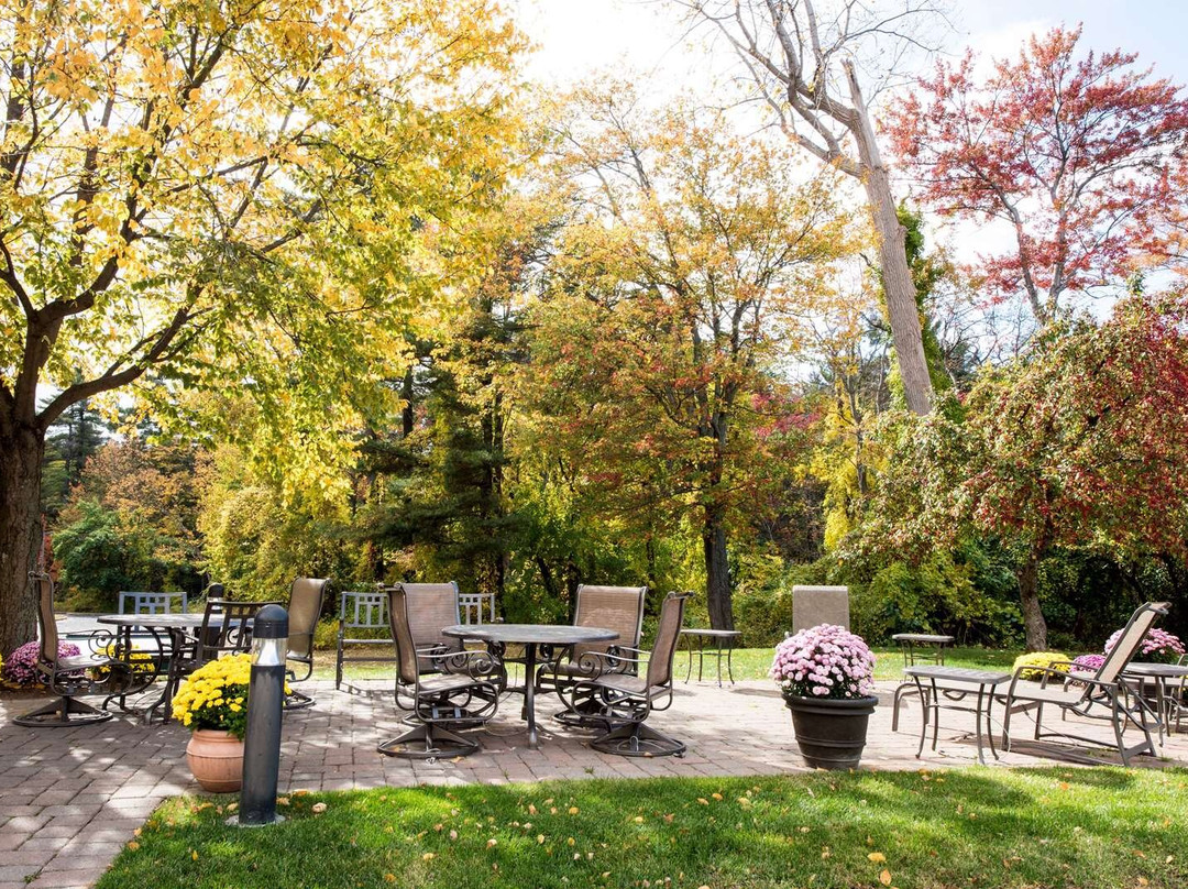 Hampton Inn Albany - Western Ave / University Area