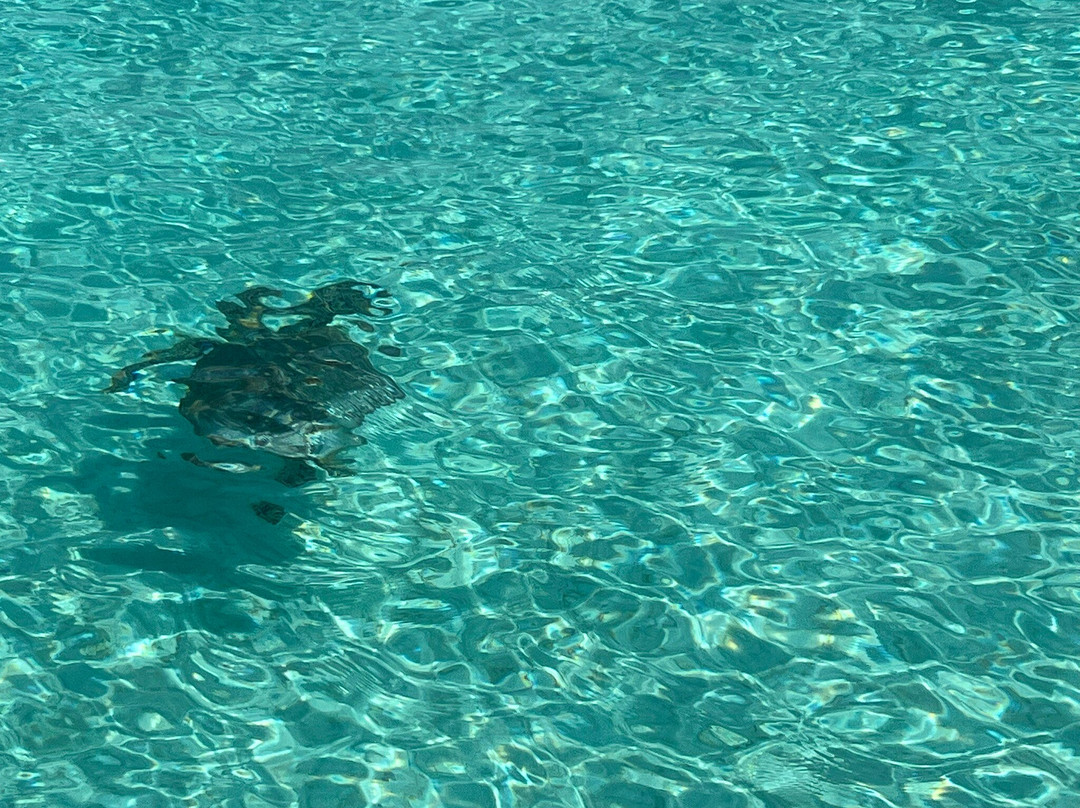 Bangaram Island Resort - Ihcl Seleqtions, Lakshadweep