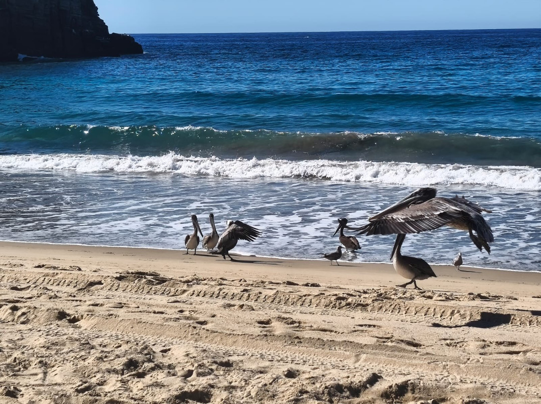 Punta Lobos-托多斯桑托斯必去景点