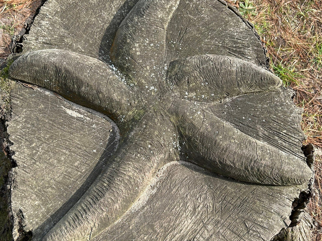 Plage De Kerler-Fouesnant必去景点