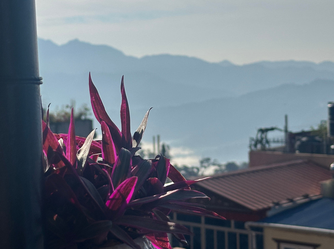 Horizon Homestay主图