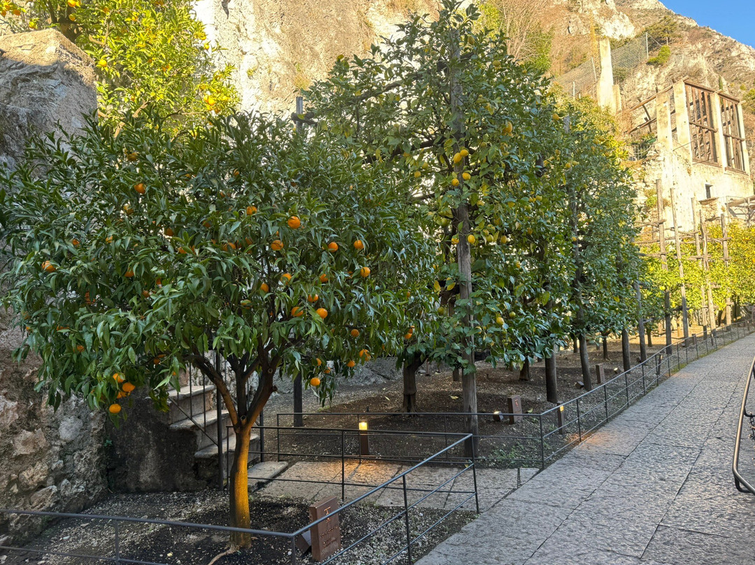 La Limonaia Del Castel-利莫内必去景点
