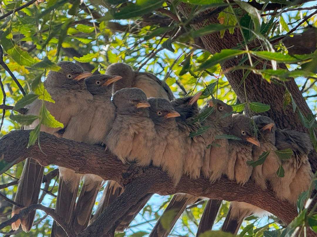 Kasba - A Village Resort主图