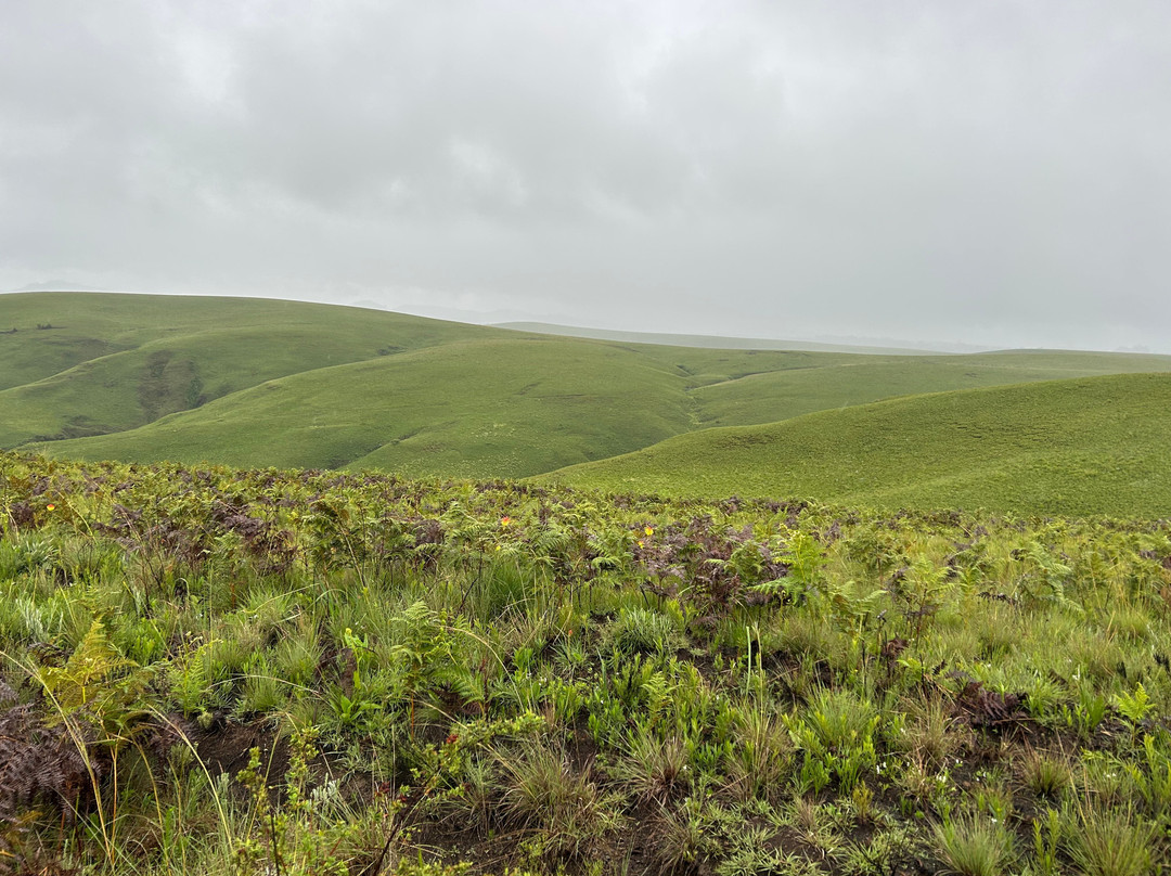 Chikanda Safaris & Adventure-Uyole必去景点