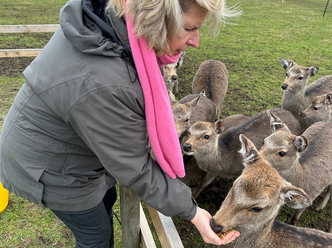 Hogshaw Farm & Wildlife Park-Hogshaw必去景点