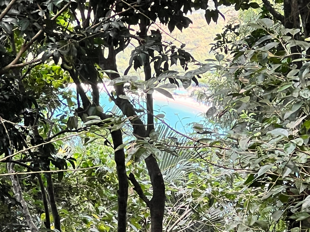 Phantasea Tropical Botanical Garden-圣 托马斯必去景点