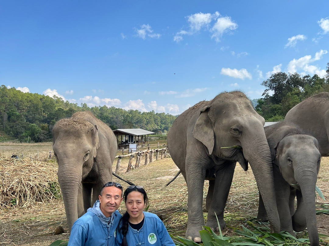 Living Green Elephant Sanctuary-清迈必去景点