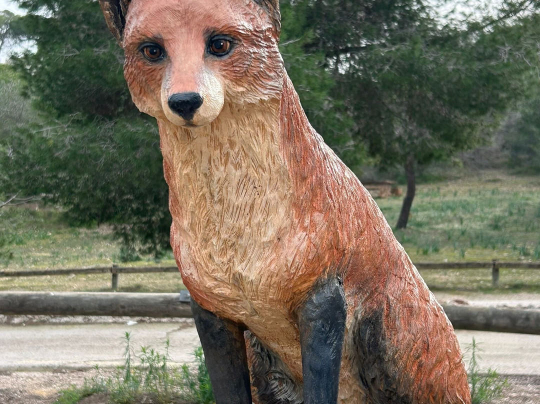 Bebe成衣定制-会安必去景点