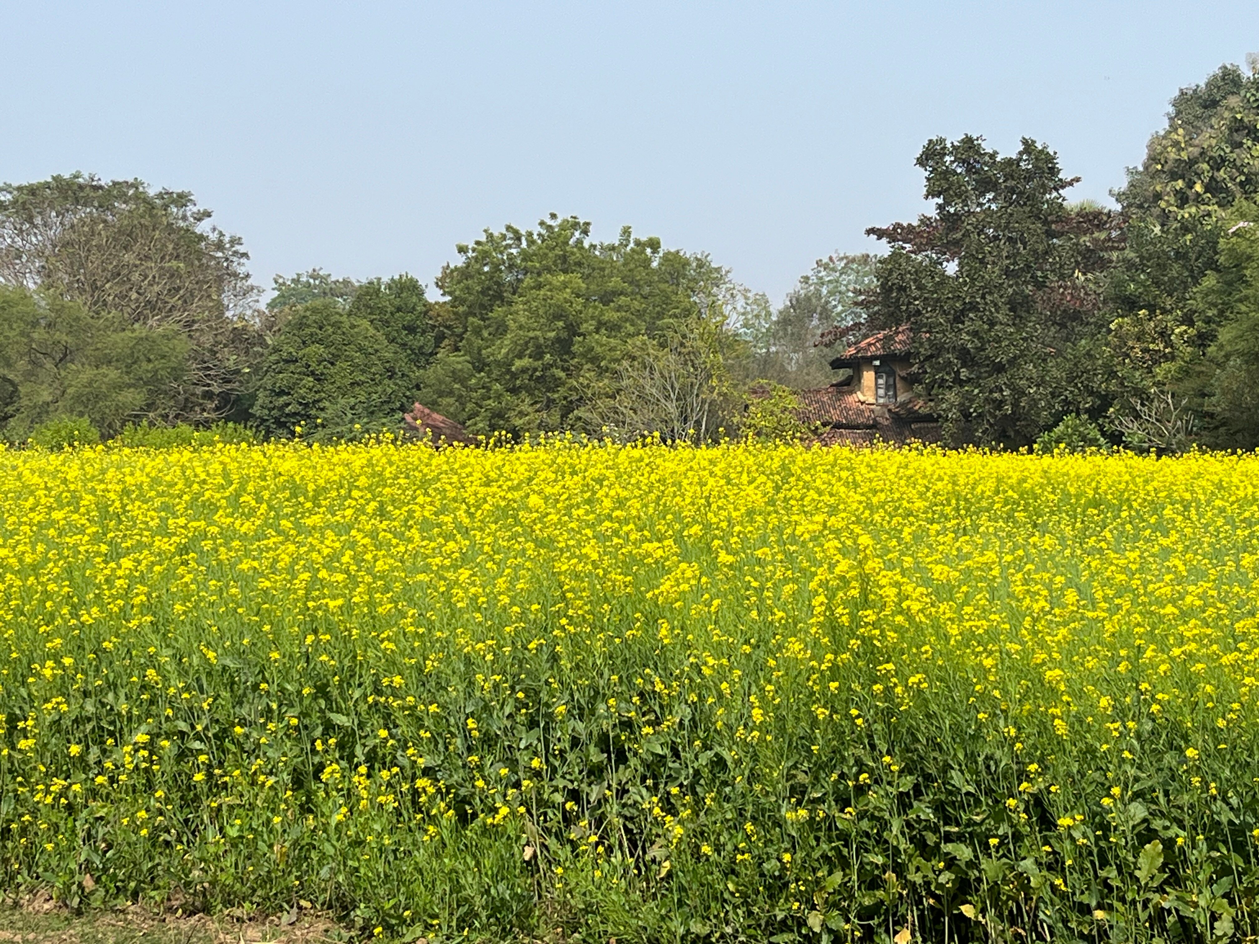 Rare Earth Farms & Homestay-官方