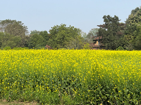 Rare Earth Farms & Homestay主图