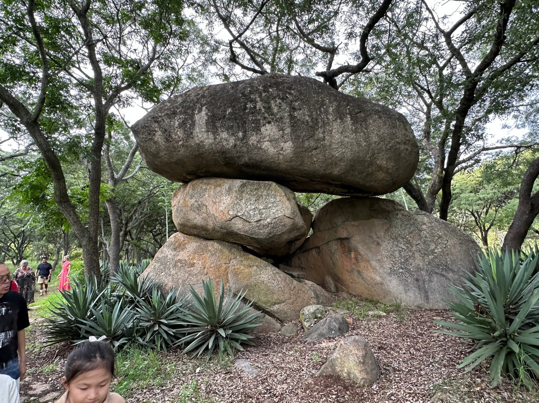 Wild Is Life-哈拉雷必去景点