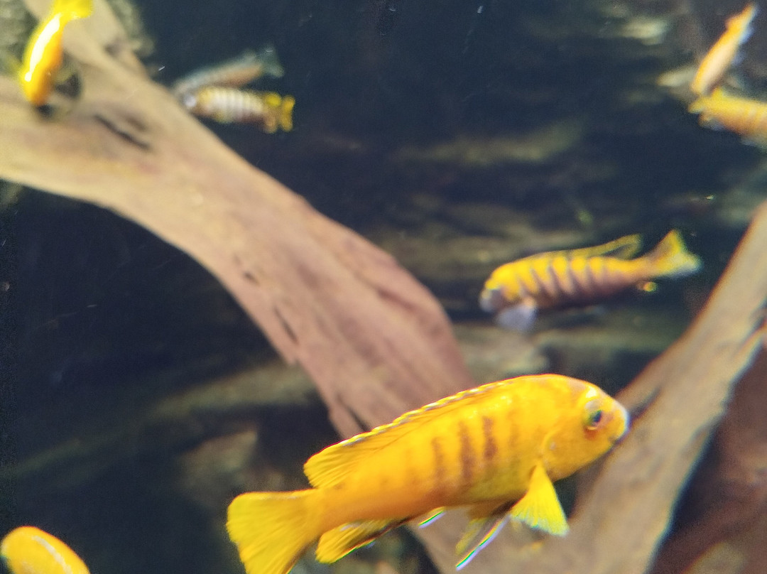 MUSE - Science Museum-特伦托必去景点