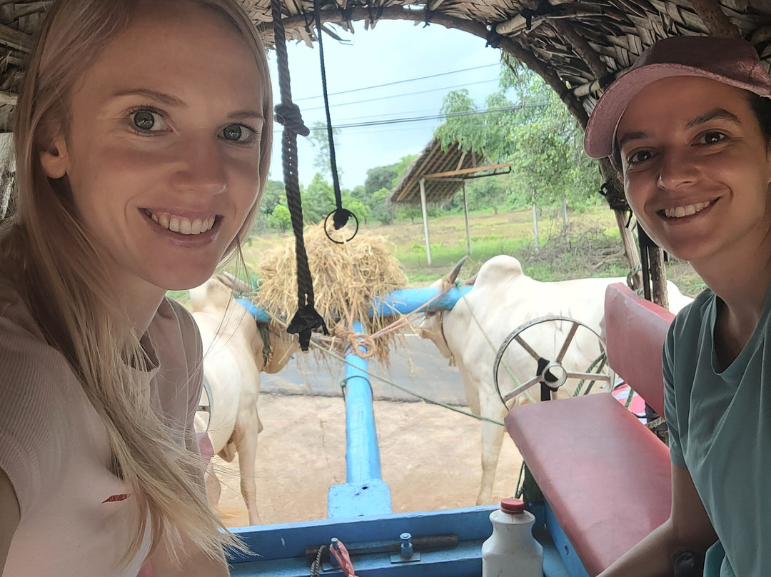 BH Lanka Tours-Kurunegala必去景点