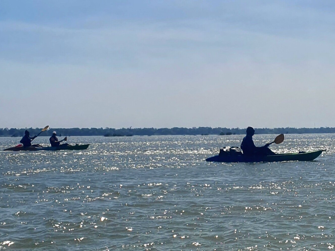 Dolphin Kayaking Adventures-Kratie必去景点