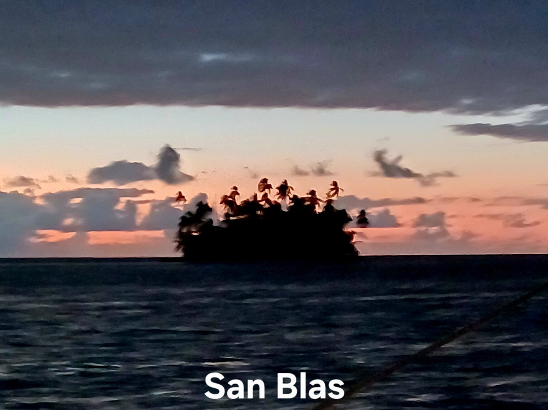 Catamaran Adventures San Blas-埃尔波韦尼尔必去景点